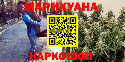 ГАЛЛЮЦИНОГЕННЫЕ ГРИБЫ Кинель